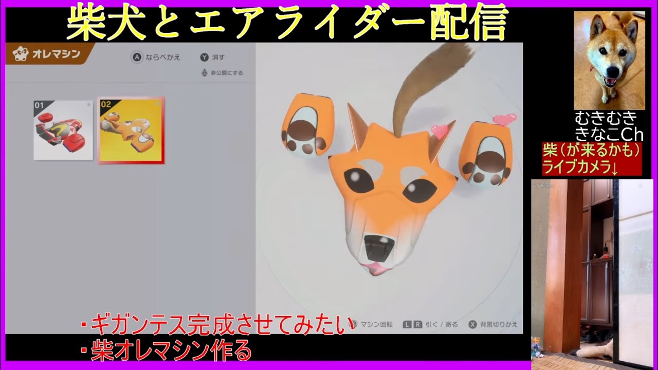 【柴犬とゲーム配信】柴犬と一緒にエアライダー！癒しWマシンでぶっ飛ばす【Switch2実況】