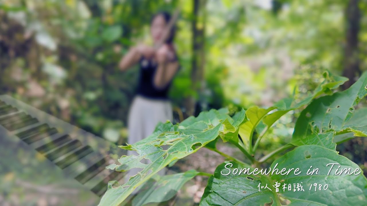 Somewhere In Time 似曾相識 | 小提琴與鋼琴合奏版本 ♫ Violin & Piano Cover Version 🅼🅼