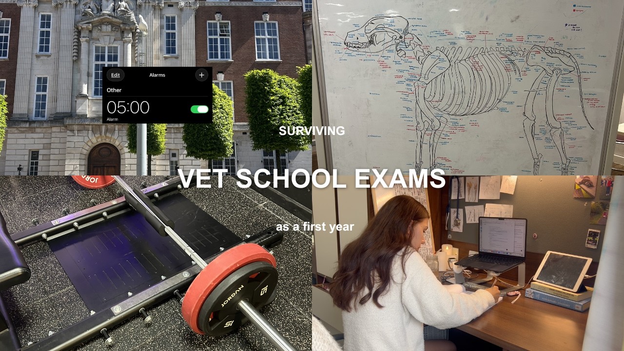 The Reality of First Year Vet School Exams 👩&zwj;💻🩺 | Study Vlog