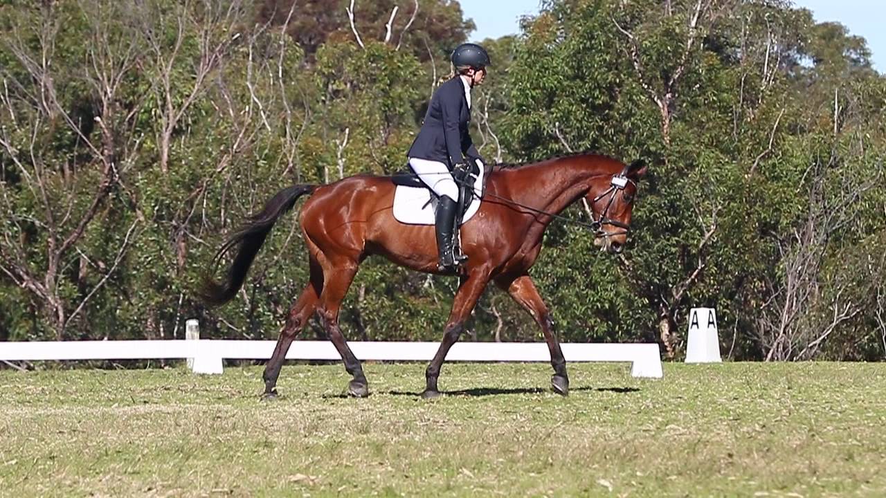Amy & Sam - Prelim 1.2 dressage test
