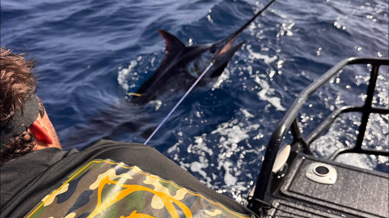 2025 Exmouth Heavy Tackle Comp, Blue Marlin for days..