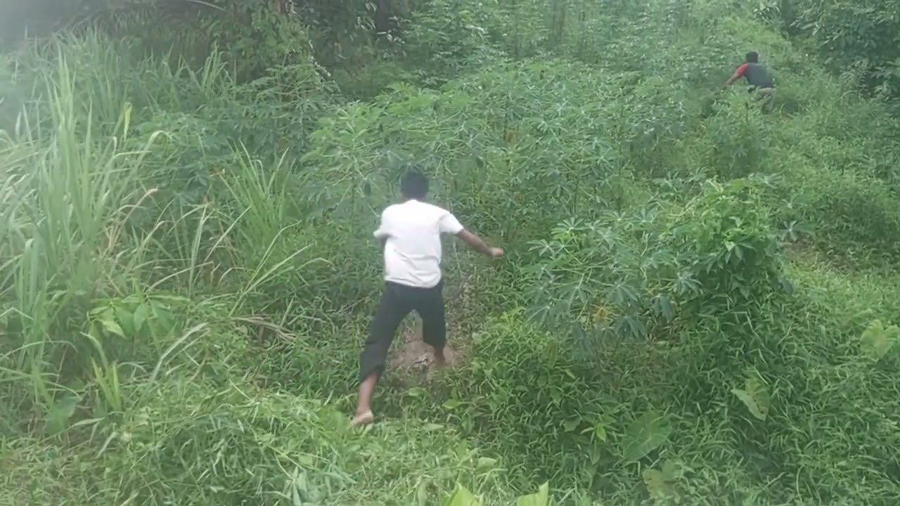 Jenderal cara orang megang Arit yang paling cepat di Tanah merah