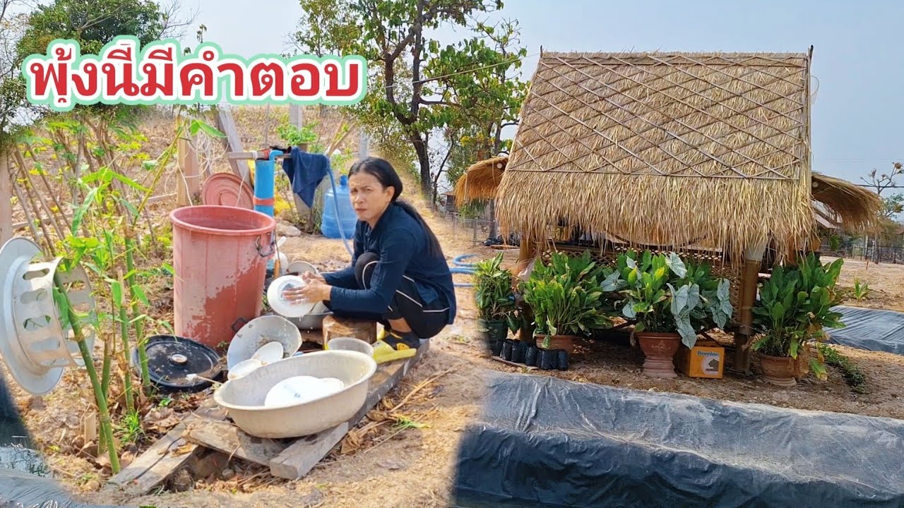 อัมราจ้ะตั้งเสาบ้านพุ้งนี้🏠⛩️ 19 มีนาคม ค.ศ. 2026