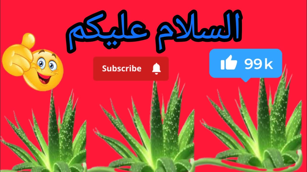 # Welcome to my live 🌿 screen Home tips 🌿 گھریلو ٹوٹکے  🌿 Zoha Ch Beuty Tips is live! 🌿🎁👍❤️❤️❤️👈🤫