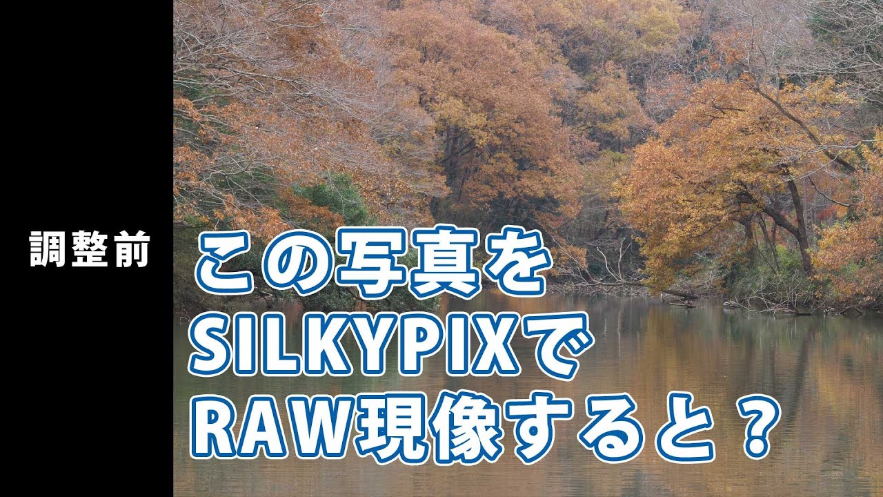 【チート級】イケてない写真をSILKYPIXでRAW現像すると？