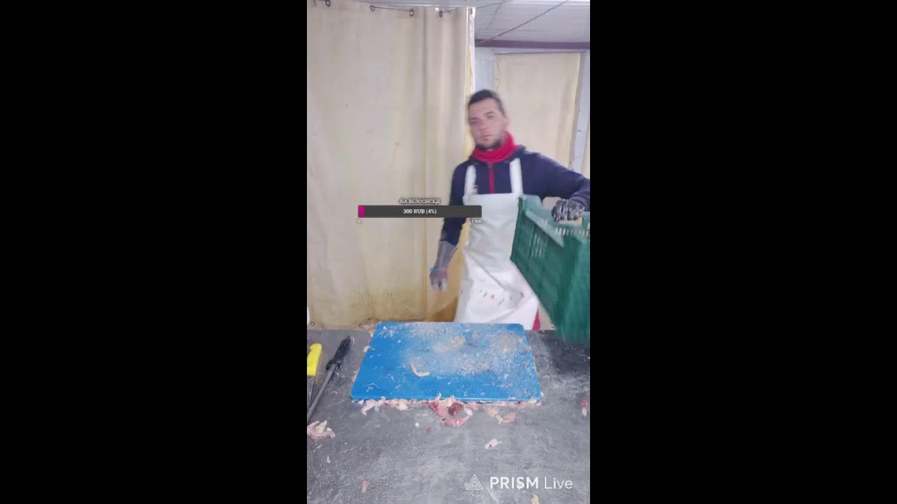 Прямая трансляция Профи
