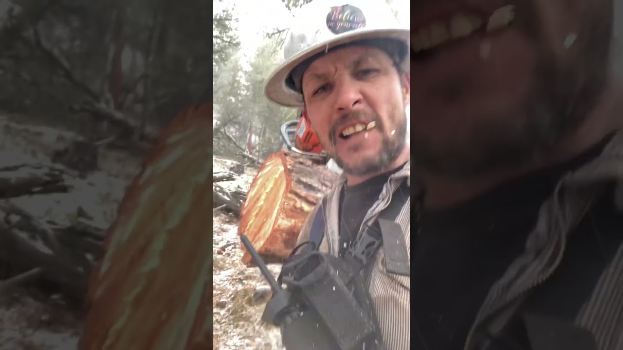 What to do when you run out of chewing tobacco.. #snow #husky #forest #logging