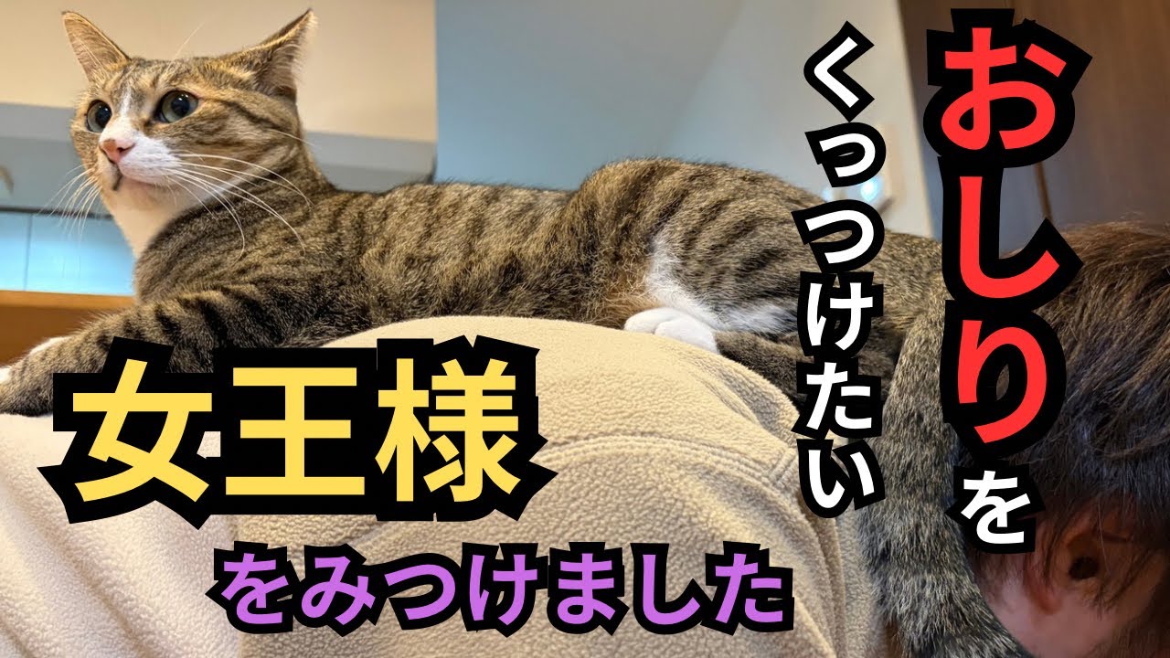 父ちゃんの首におしりをくっつけたら、こうなりました