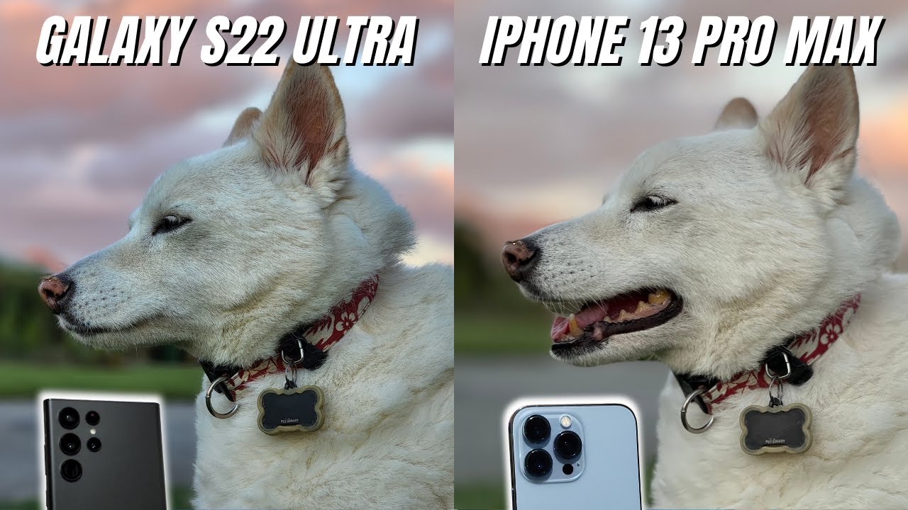 Samsung Galaxy S22 Ultra vs iPhone 13 Pro Max Camera Comparison