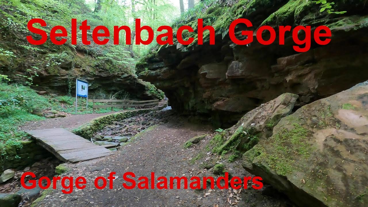 Seltenbach Gorge / Seltenbachschlucht Klingenberg, Germany 4K