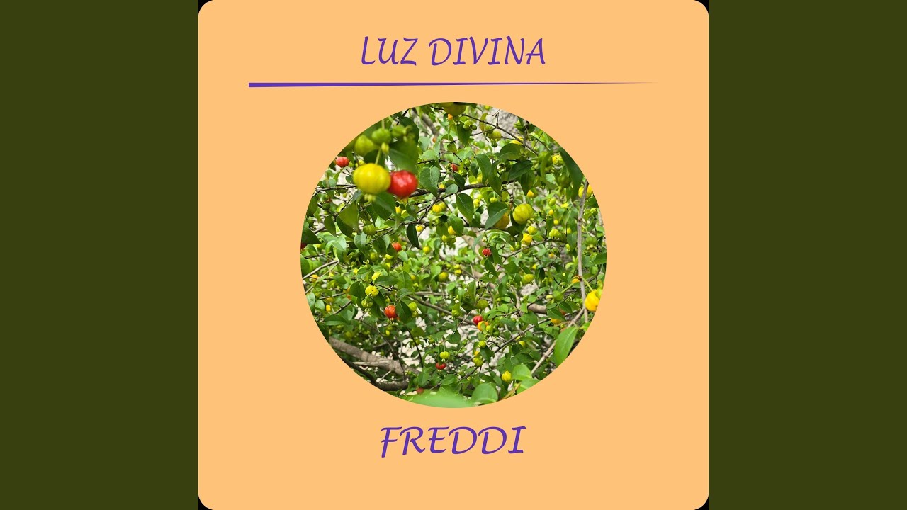 Luz Divina
