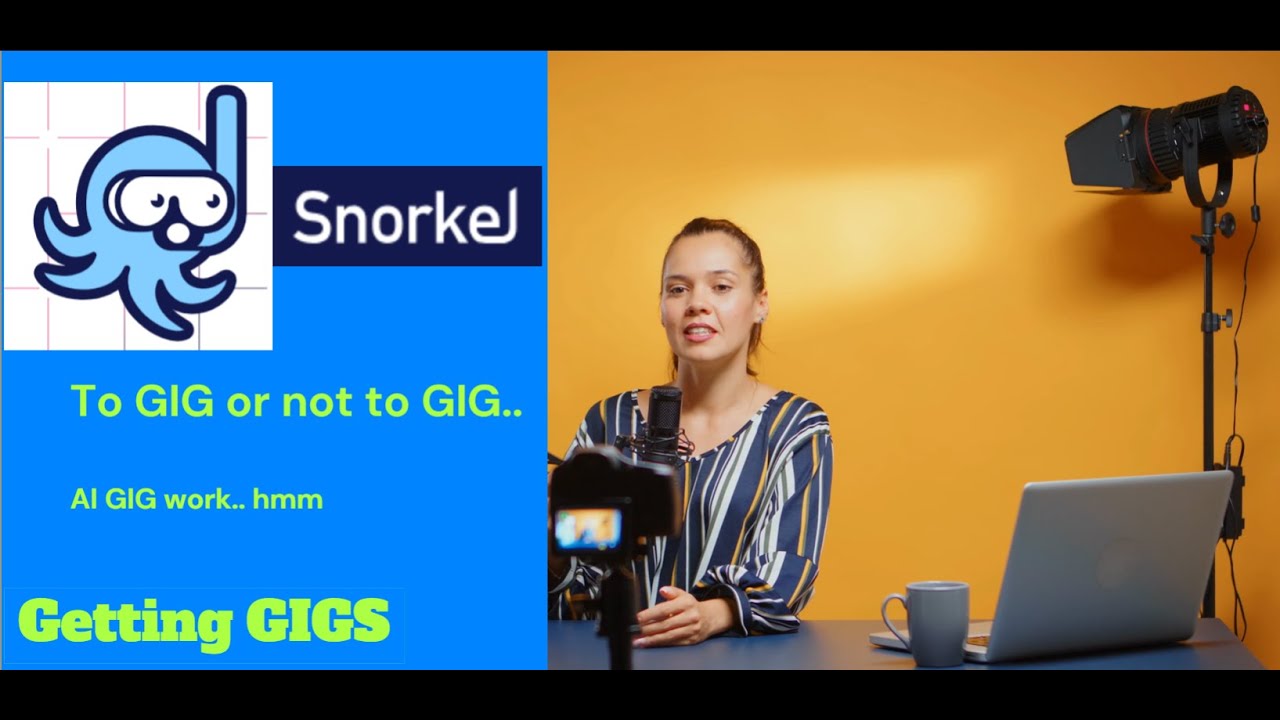 Snorkel.AI / Gig Work! / Remote Work / WFH / AI work