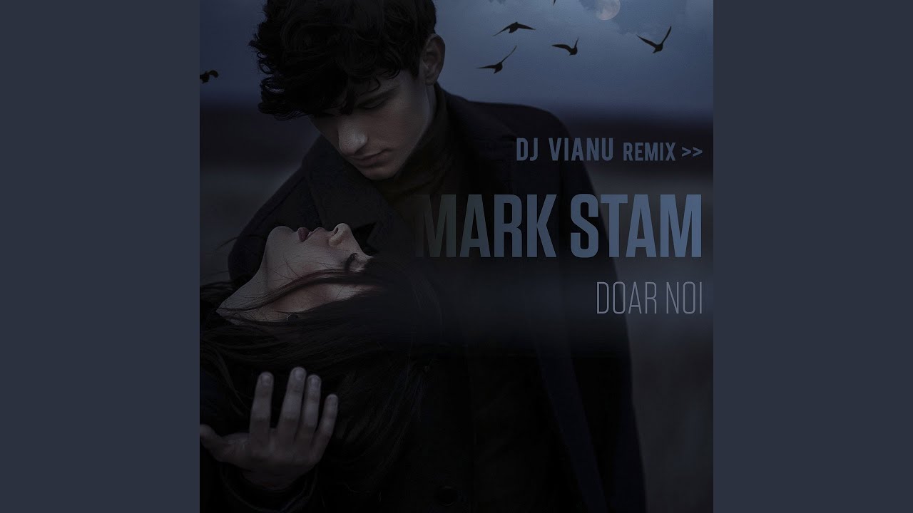 Doar Noi (DJ Vianu Remix)