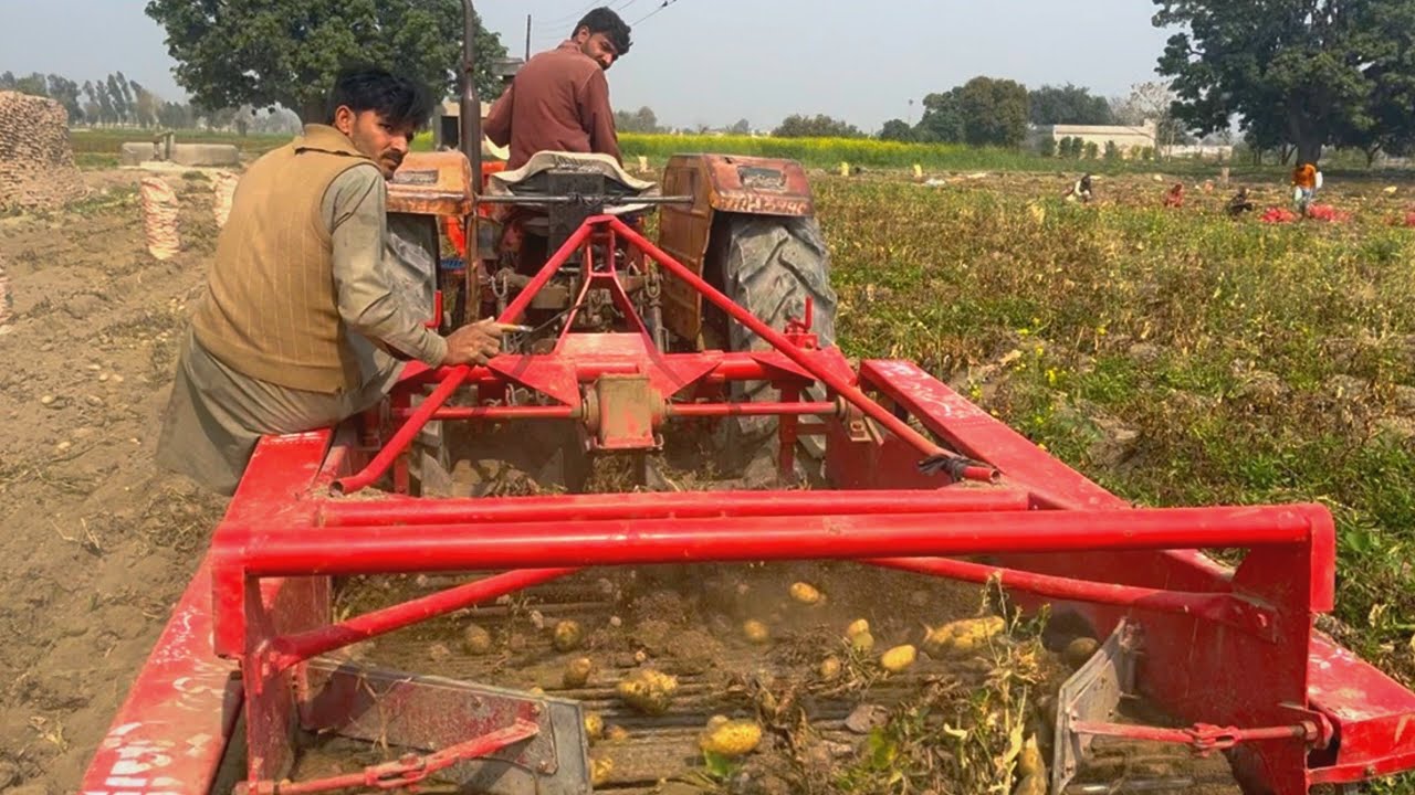 Potato Harvesting Machine | Modern Potato Harvesting Machine in Punjab | Potato Processing in Punjab