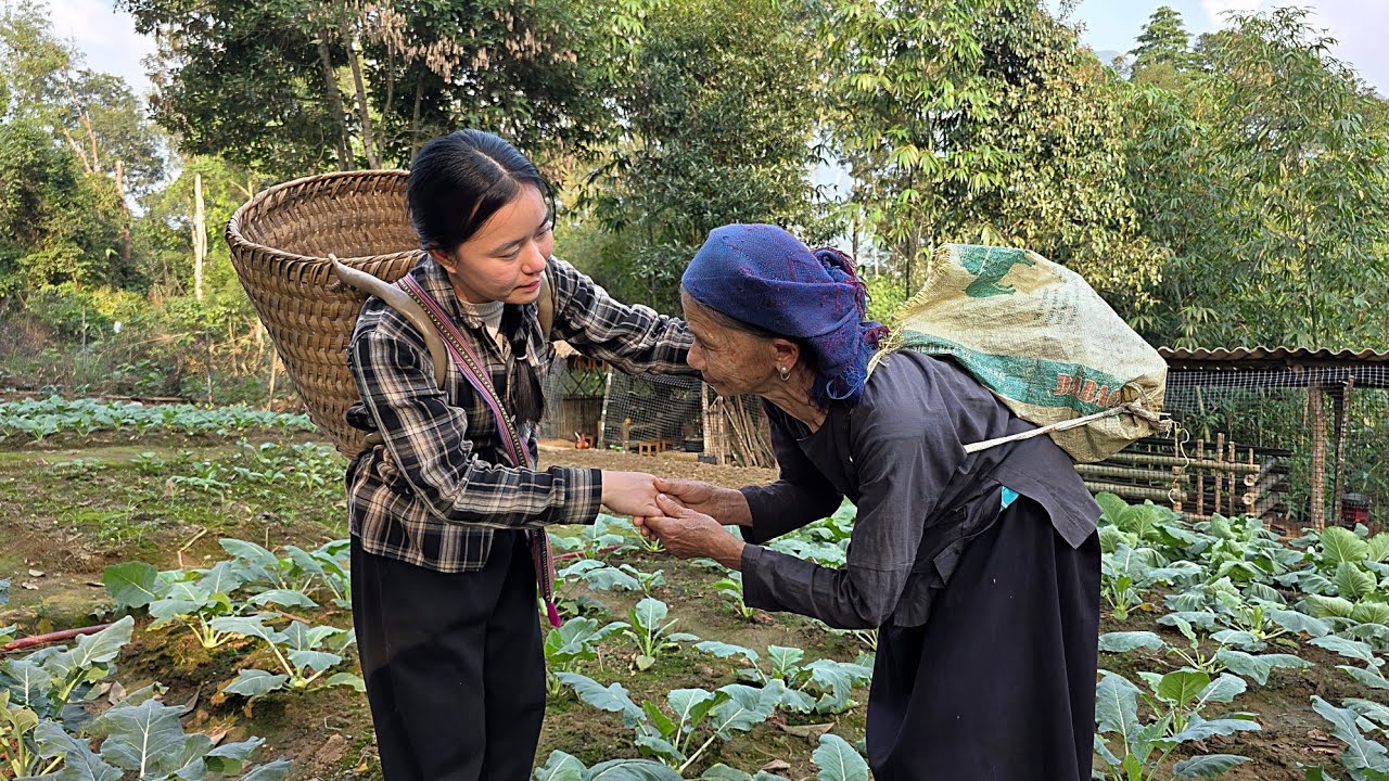 tieu Ly was very happy when the old woman came to visit her on the farm when she was very sad.