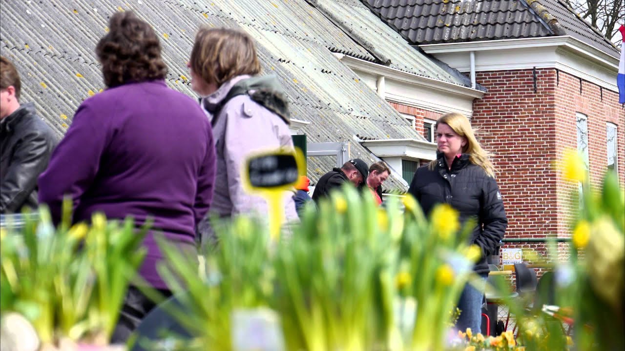 Vrijmarkt Roodeschool 2013