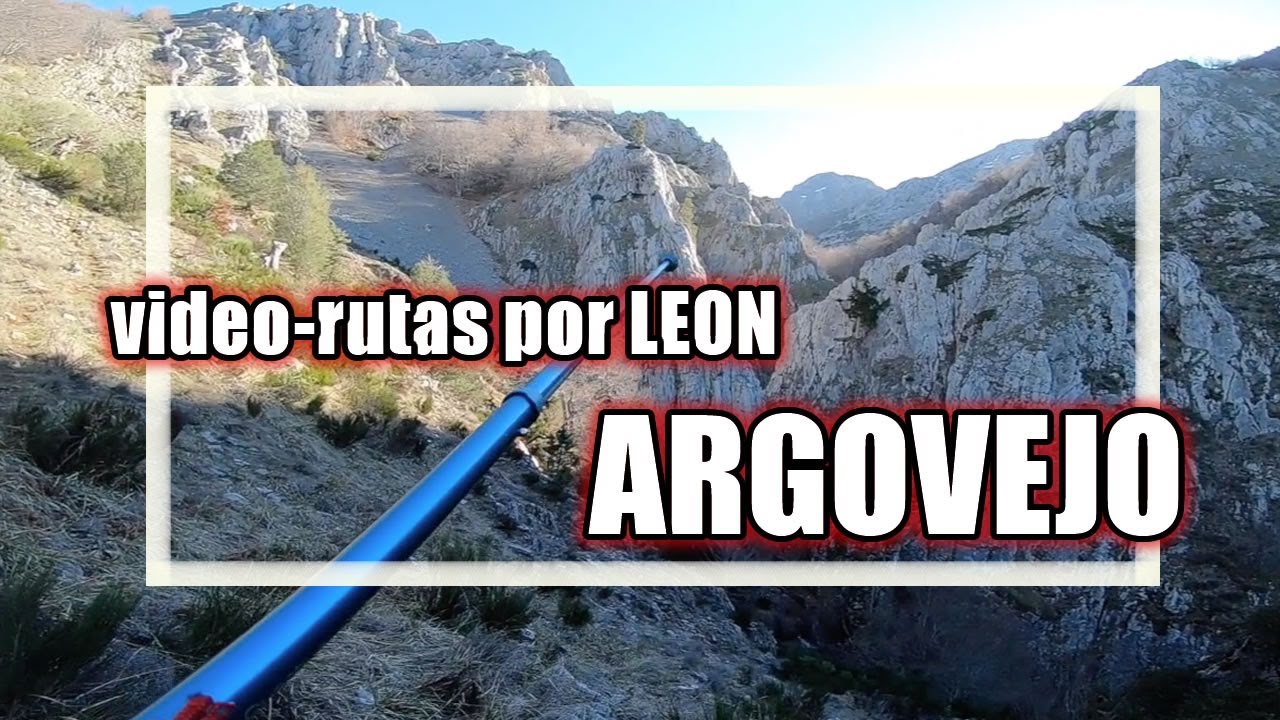 ARGOVEJO y su  Bosque lleno de Elfos!