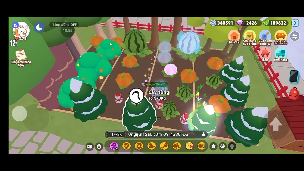 Nhà các bn đẹp quá 😍 | play together 