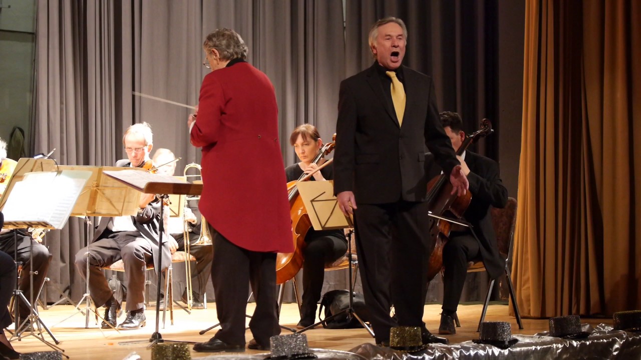 Dein ist mein ganzes Herz  Johann Strau&szlig; Orchester Michael Vaccaro  2017