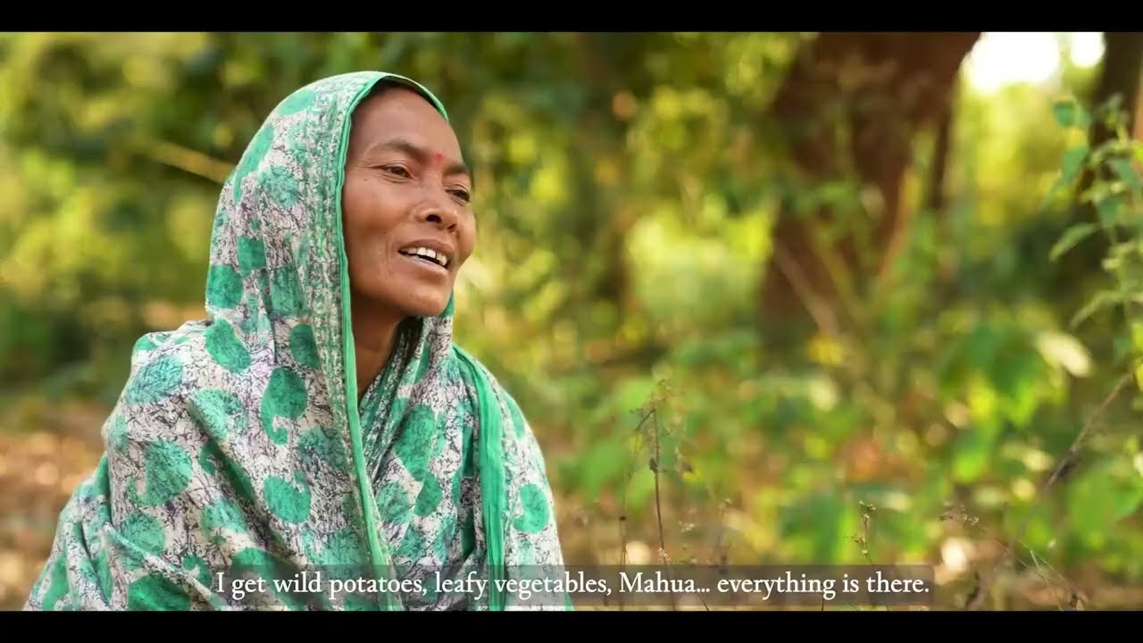 Industree: Odisha’s Generous Forest