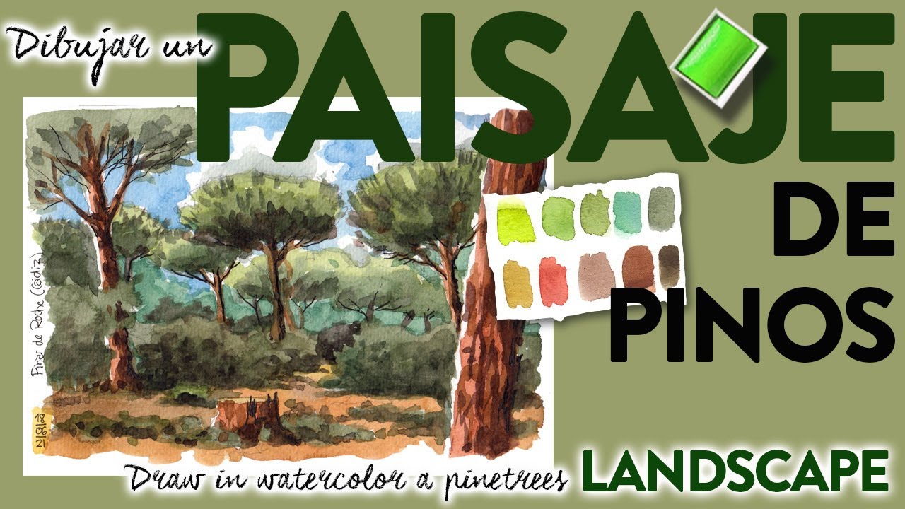 Dibujo en vivo de un paisaje en un pinar. Pinewood sketch live, learn how to simplify it quickly.