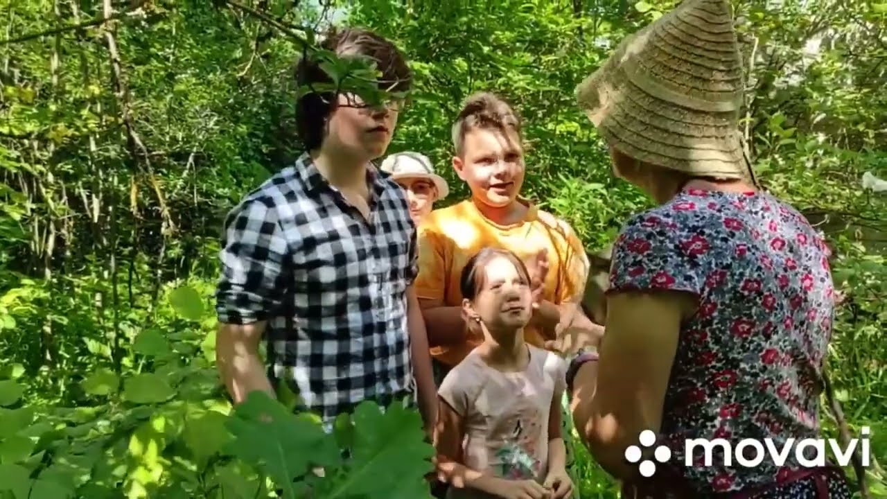 Механизма