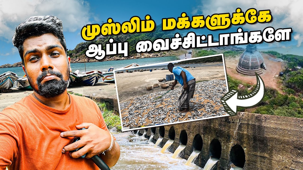 திருகோணமலையில் இப்படி ஒரு நிலையா 🙁| புல்மோட்டை | arismalai beach | jesi vlogs