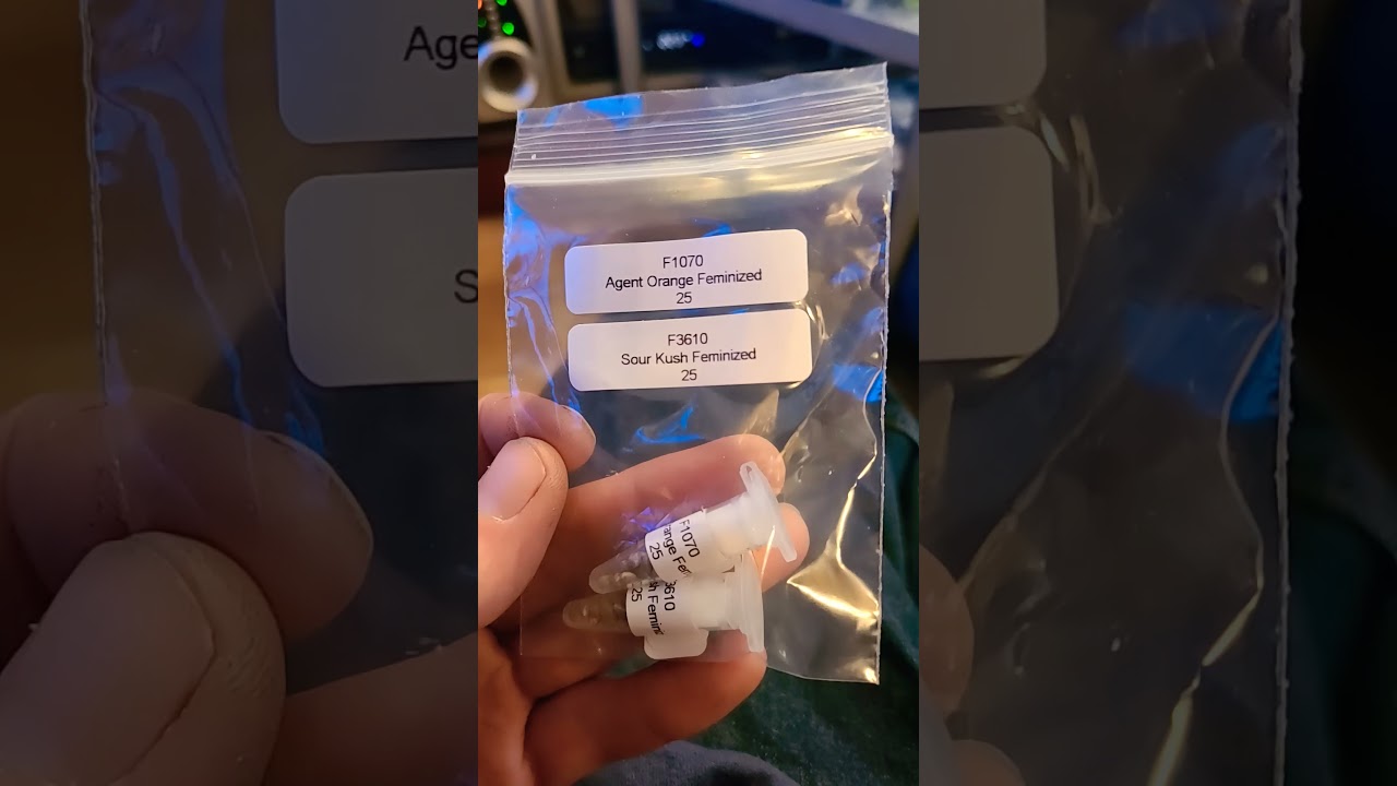 Vancouver Seed Bank Seeds