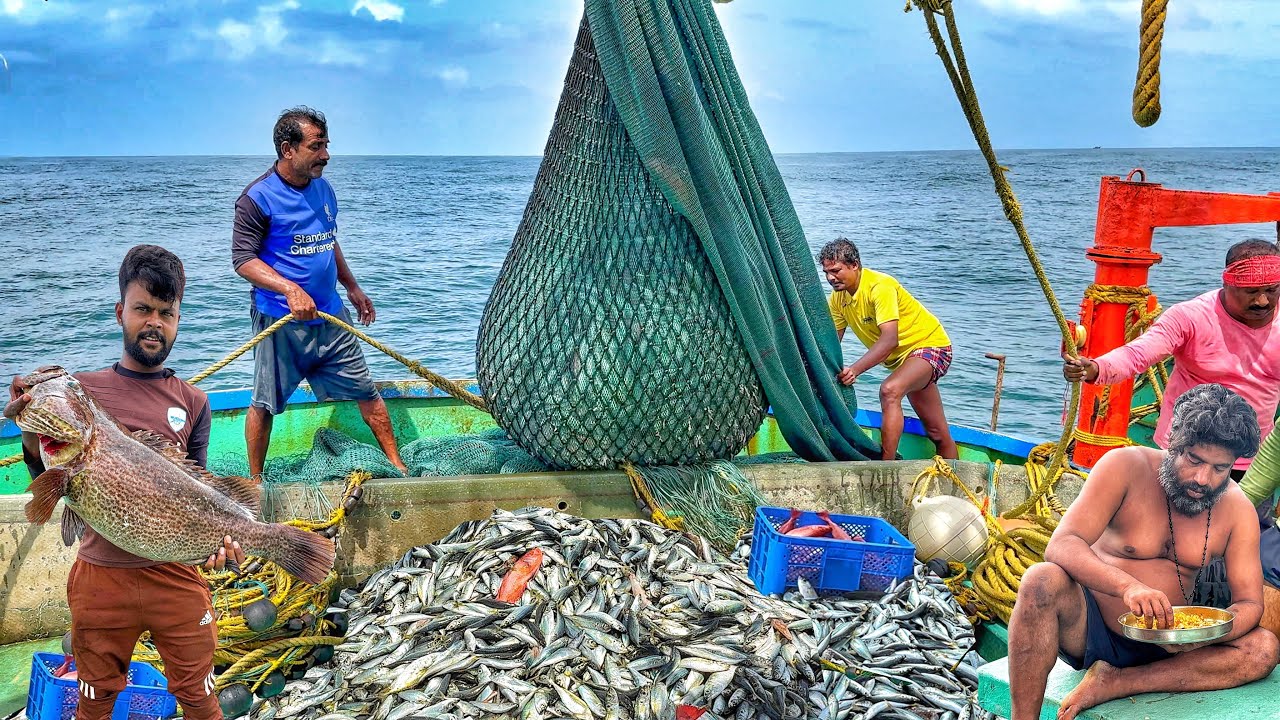 Oh‼️ Empire of the Sea: Fishermen Haul a Mountain of Fish💢‼️