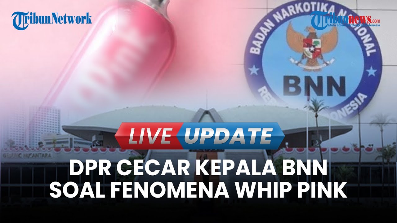 🔴 LIVE UPDATE | Belum Diatur sebagai Narkotika, BNN Tetap Awasi Peredaran Whip Pink