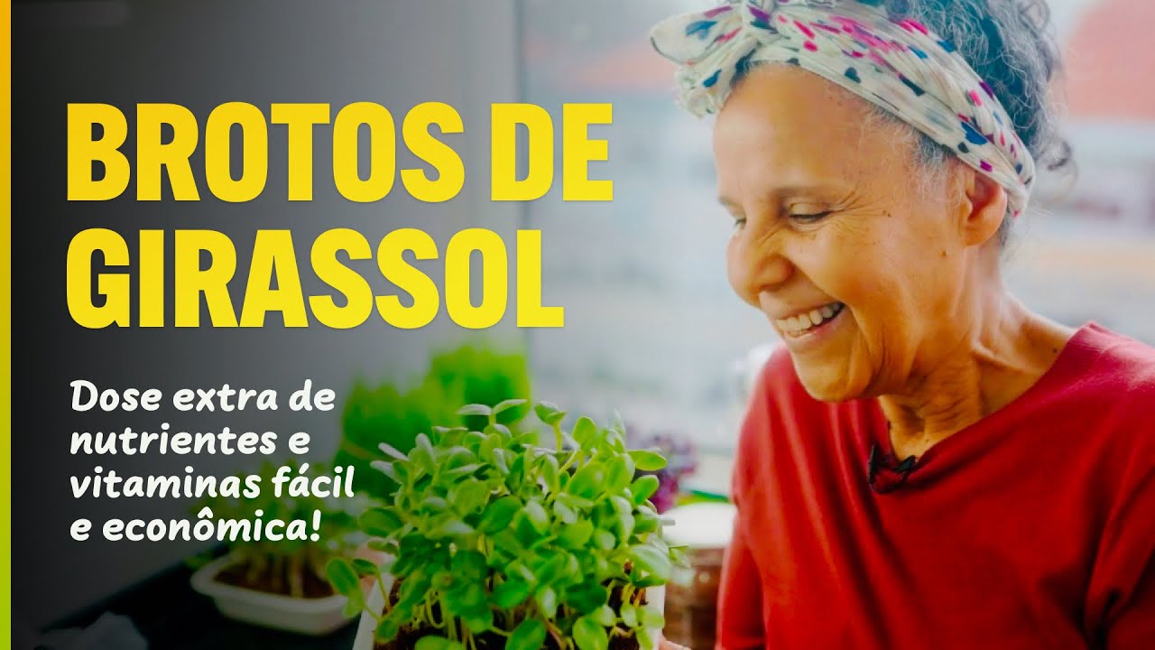 Faça Brotos em Casa! Como Fazer Brotos de Girassol