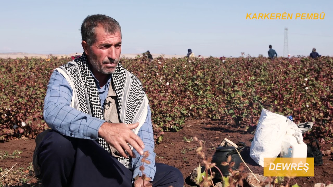 PAMUK İŞÇİLERİ