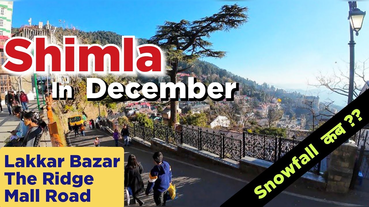 Shimla in December | Shimla Snowfall Update | Shimla Himachal Pradesh | Shimla #shimlatouristplaces