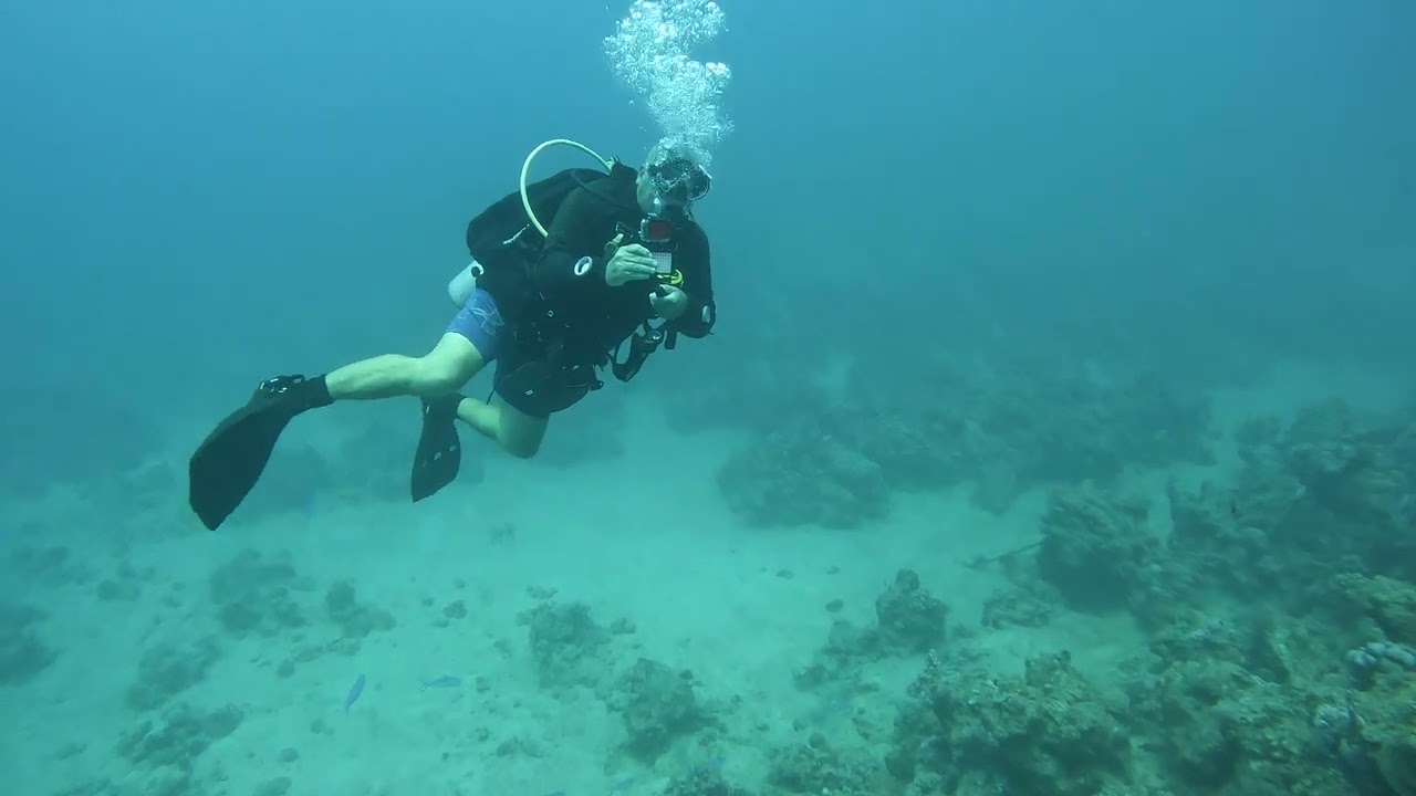 דצמבר 2025 - אילת