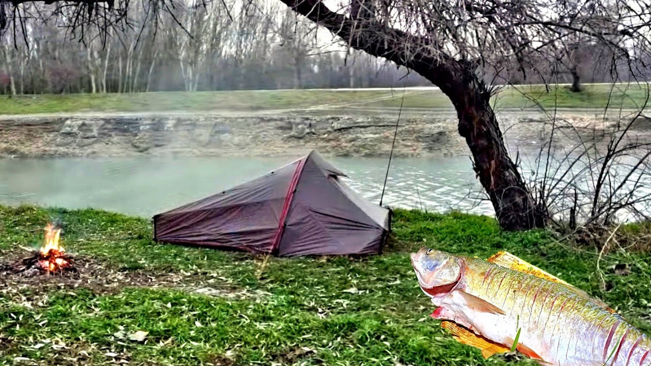 🎣 3 ZILE cu CORTUL pe CANALUL cu APĂ CALDĂ - PESCUIT și AVENTURĂ la CERNAVODĂ