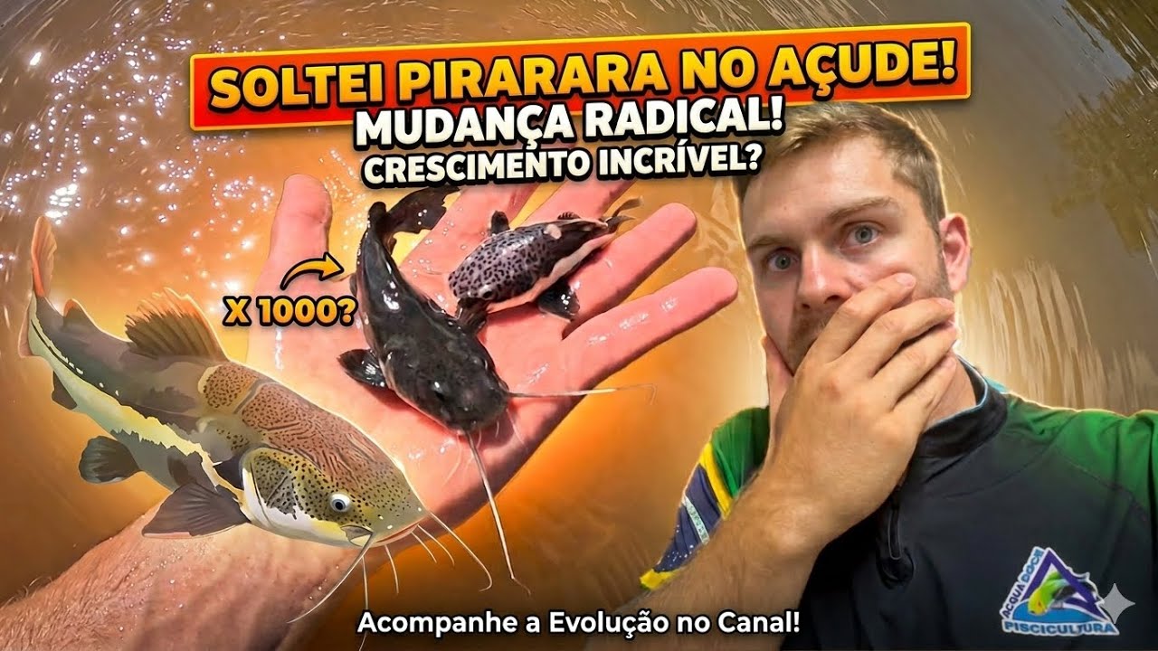 SOBERANA GOLD X PIRARARA