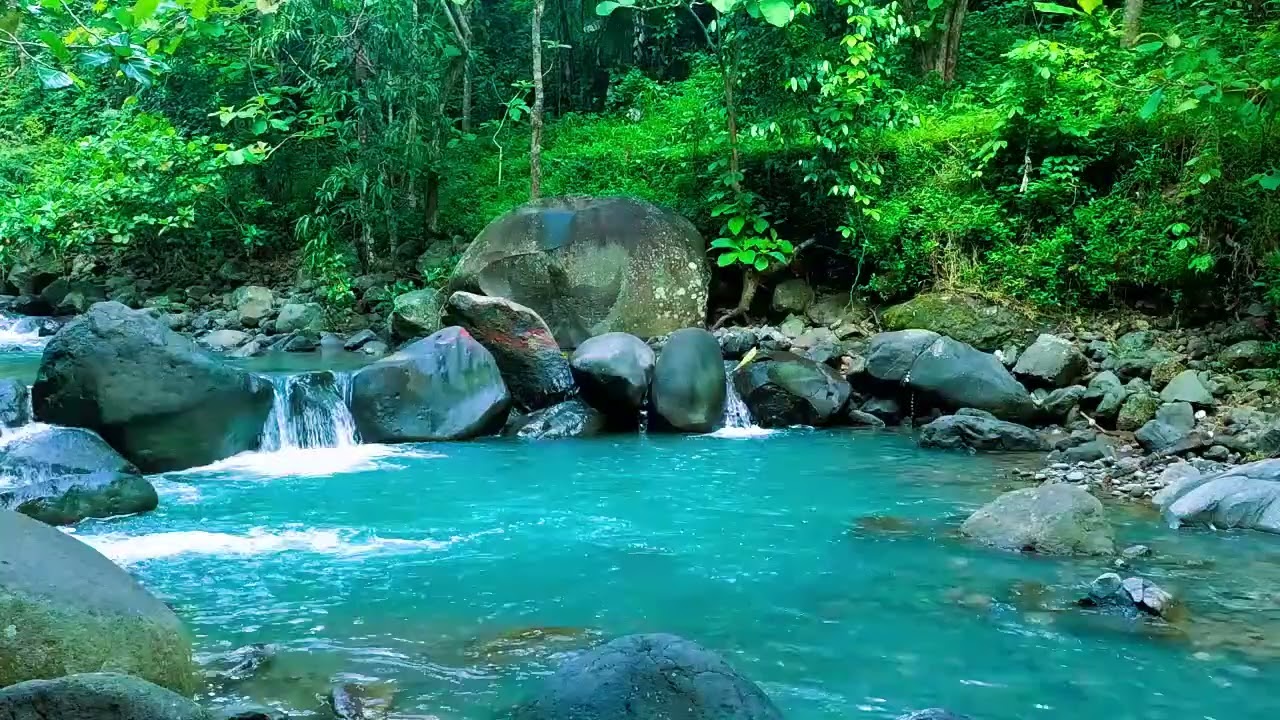 Tranquility and Natural Beauty | Find Your Center with Nature's Harmony