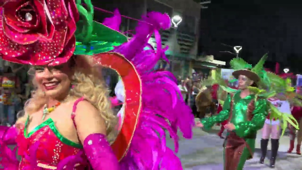 Un pequeño resumen del carnaval 2026 Altamira 