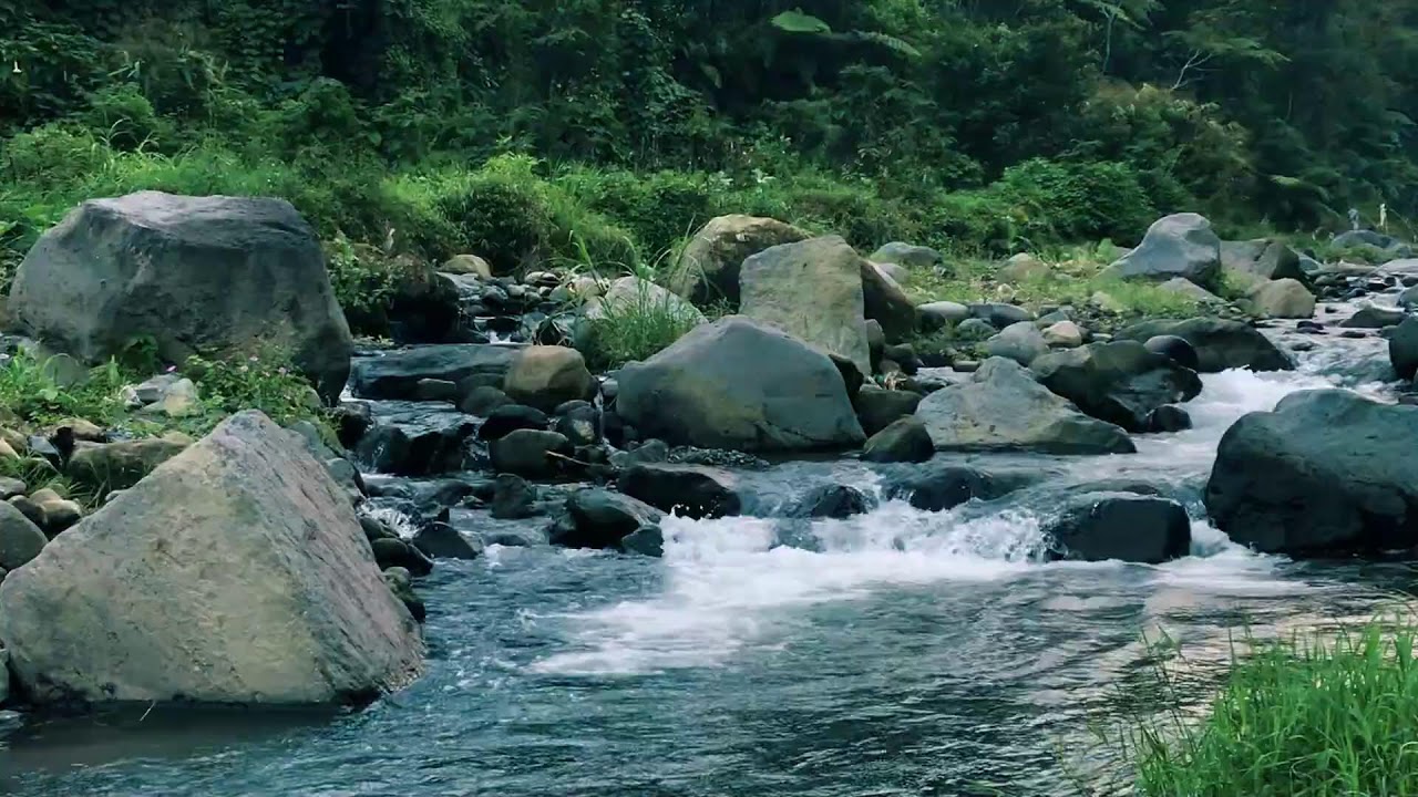 Gentle River Ambience for Better Sleep, Anxiety Relief, Worry Relief