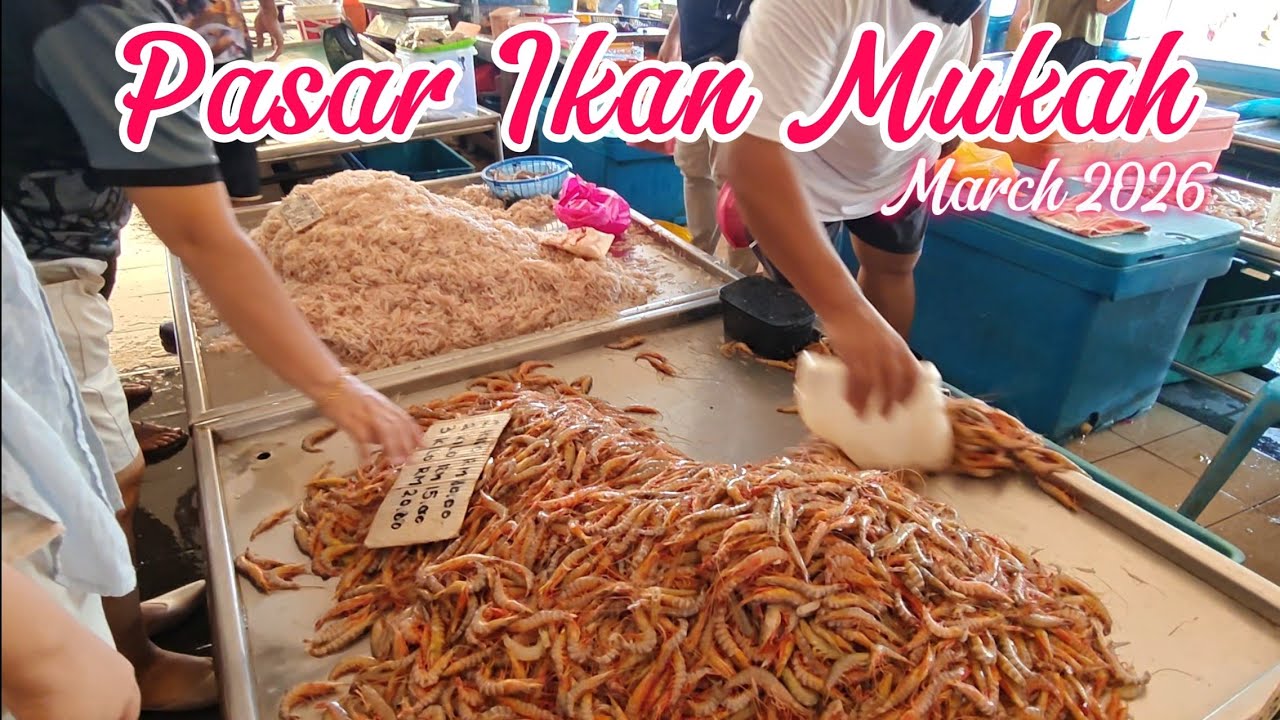 Pasar Ikan Mukah Meriah Kembali || Banyak Bubuk Dan Payak Segar. 