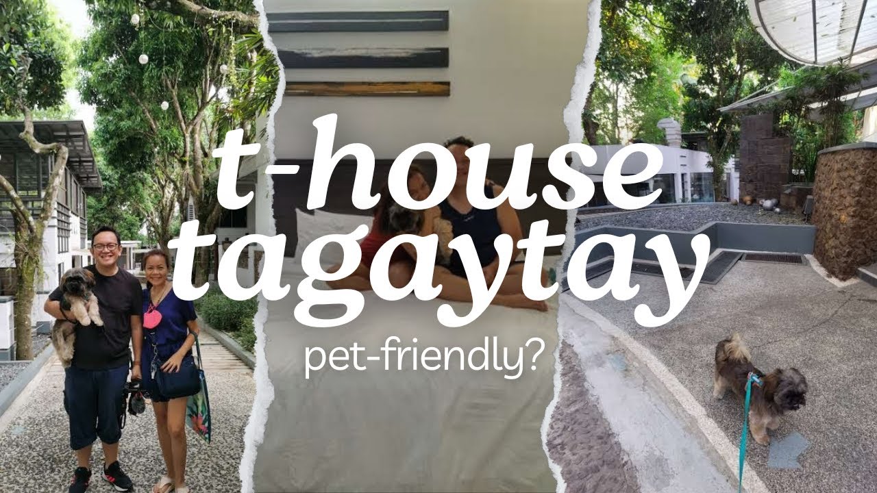T-HOUSE Tagaytay: The CUTEST Pet-Friendly Getaway