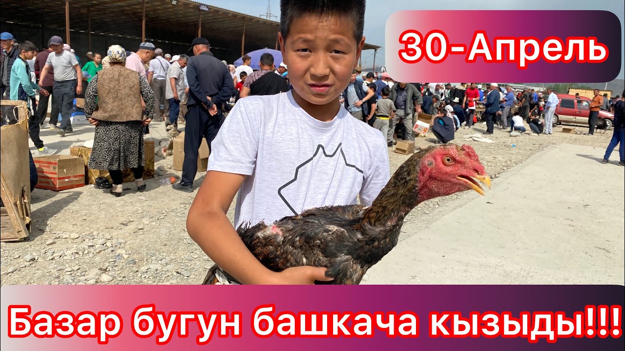 Тоок базар бугун кызыды корбосонуз болбойт!!!
