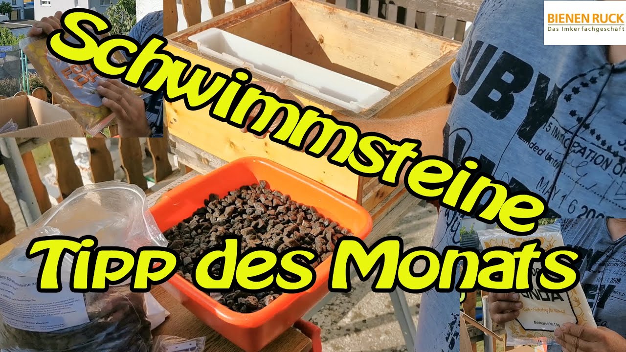Imkern wie da Jupp Schwimmsteine , Bienen Füttern