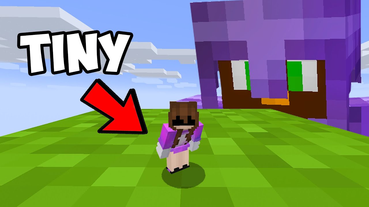 I Killed A Stacked Player While TINY, To Get Revenge