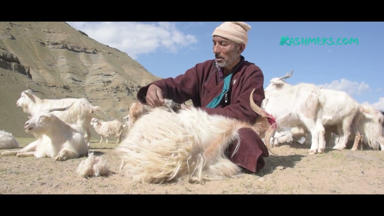 How It's Made | Pashmina Shawl | Kashmers.com