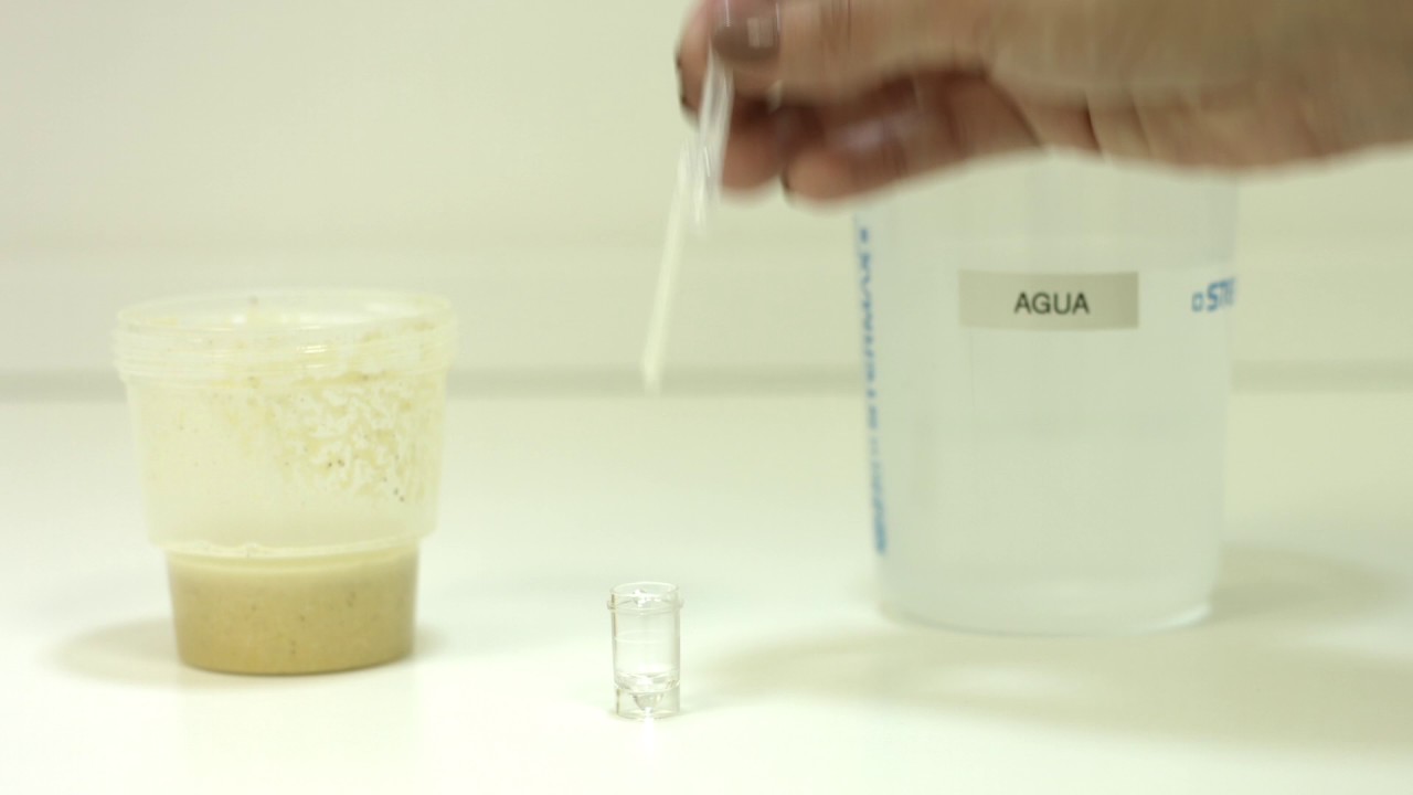 ENTRENAMIENTO | MICOTOXINAS | Aflatoxina Cualitativo