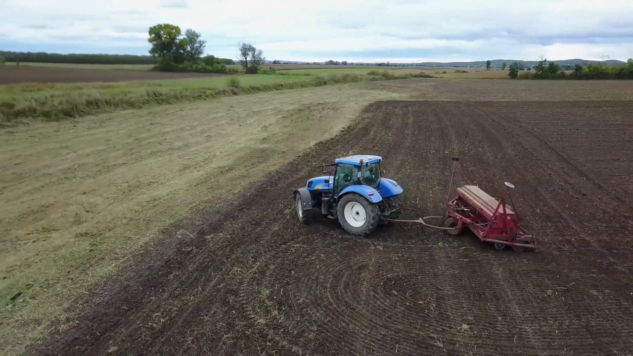 Őszi &aacute;rpa vet&eacute;s -New Holland T6050 + IH 6200