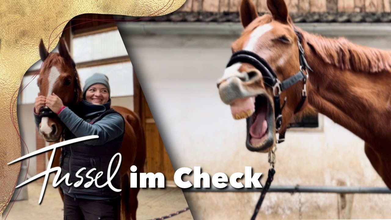 Fussel bringt alle zum lachen I Osteopathietermin mit Nina