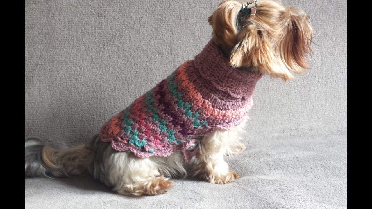 Sweter dla psa, ubranie dla psa na szydełku 1/3