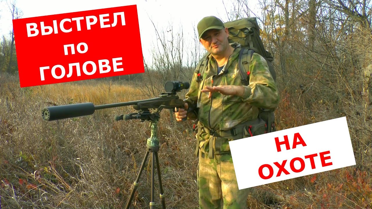 Стоит ли стрелять зверю В ГОЛОВУ на охоте? Когда, куда и как надо?